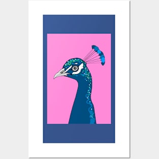 Peacock Portrait ( pink ) Posters and Art